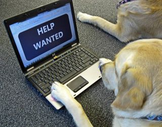 Dog Help Wanted