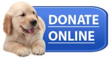 DONATE DOG