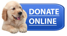 DONATE DOG