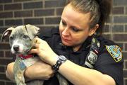 become-an-hle-officer