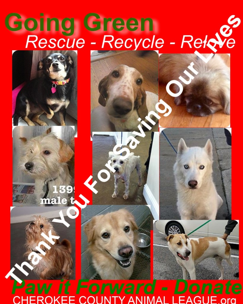 donate 2013 300dpi