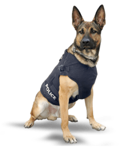 k9-A
