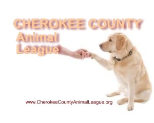 nati doccal dog paw web med