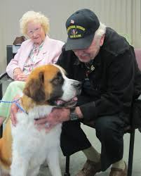 Alzheimers's Therapy Dog