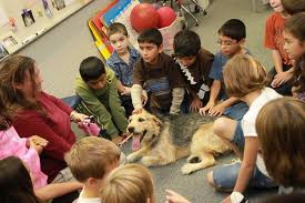 dogs classroom