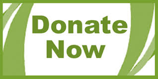 donate button