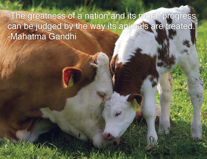 food for thought…pardon the&nbsp;pun