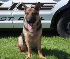 k9 dog green pets america communities law enforcement memorial