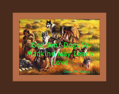 north american indian dog quote