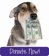 Donate Button