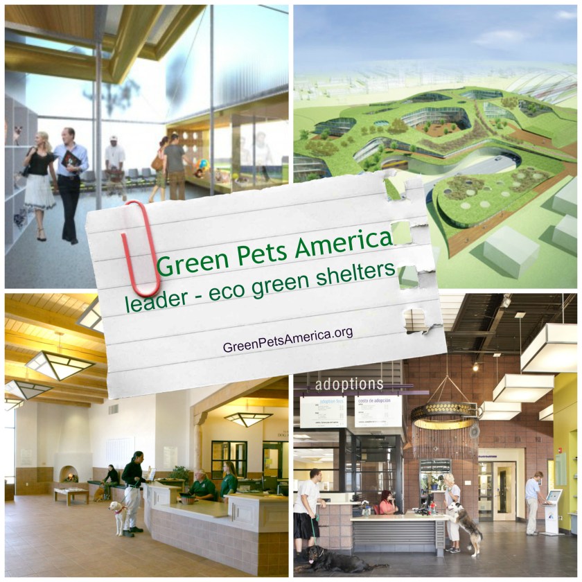 Green Pets America eco green animal shelter