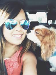 dog ebola picture