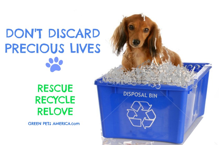 rescue recycle rehome picture