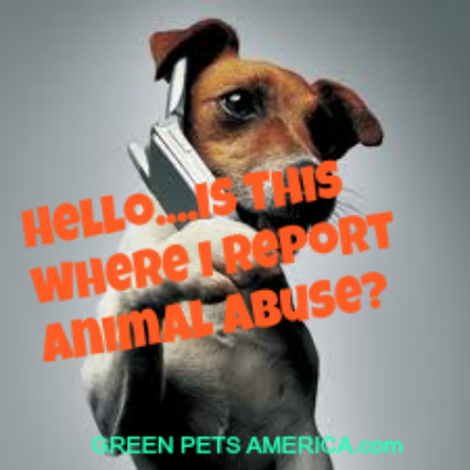 DOG CELL IPHONE CALLING ANIMAL ABUSE