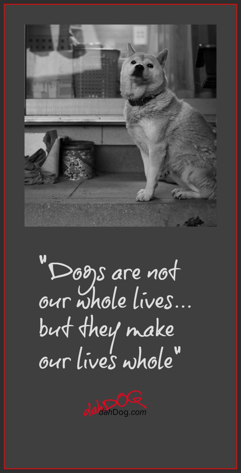 dog quotes