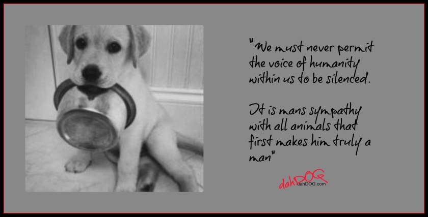 animal quote