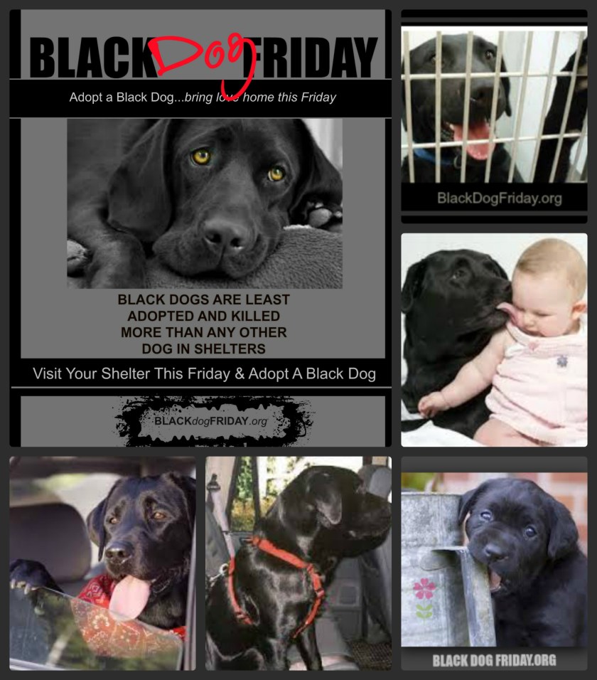 BDF Collage Flyer