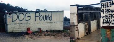 Dog Pound