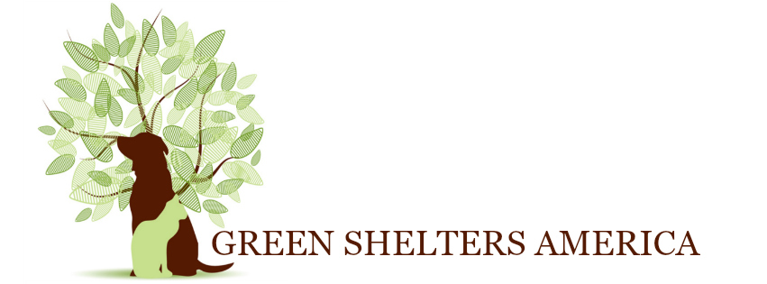 See How to Start a No Kill&nbsp;Shelter