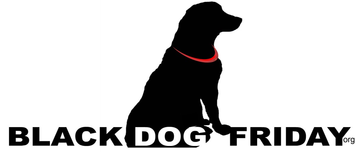 Black Dog Friday Online&nbsp;Store