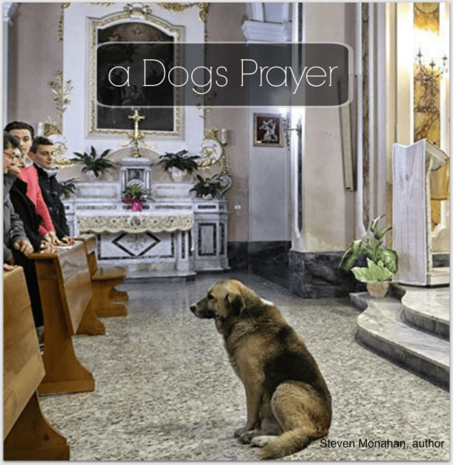dogs prayer