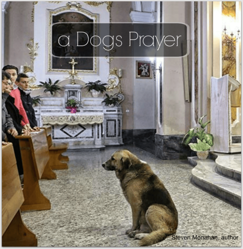 dogs prayer